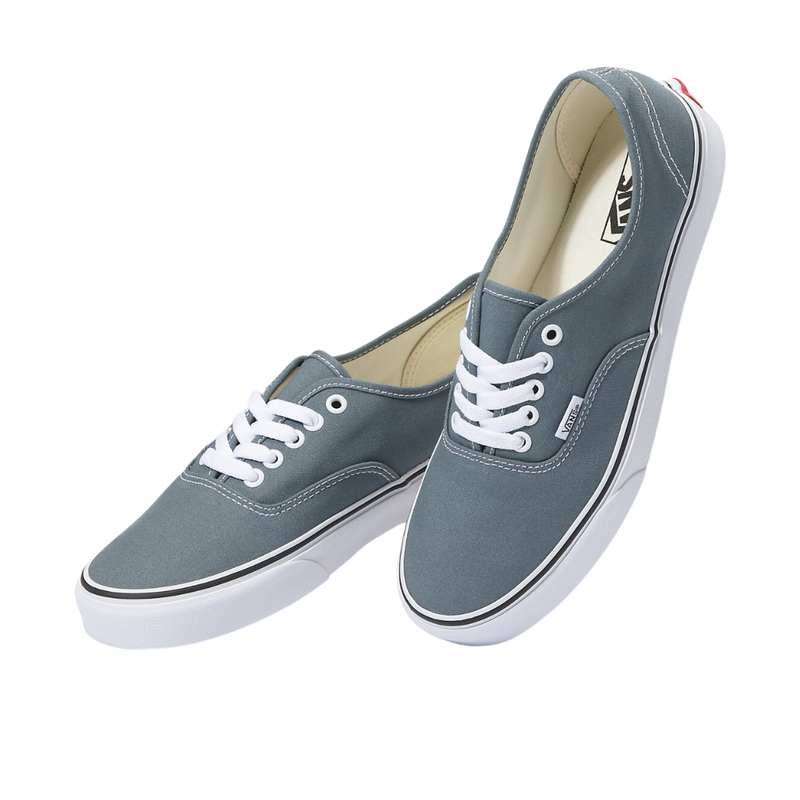 Vans Color Theory Stormy Weather Authentic Shoe