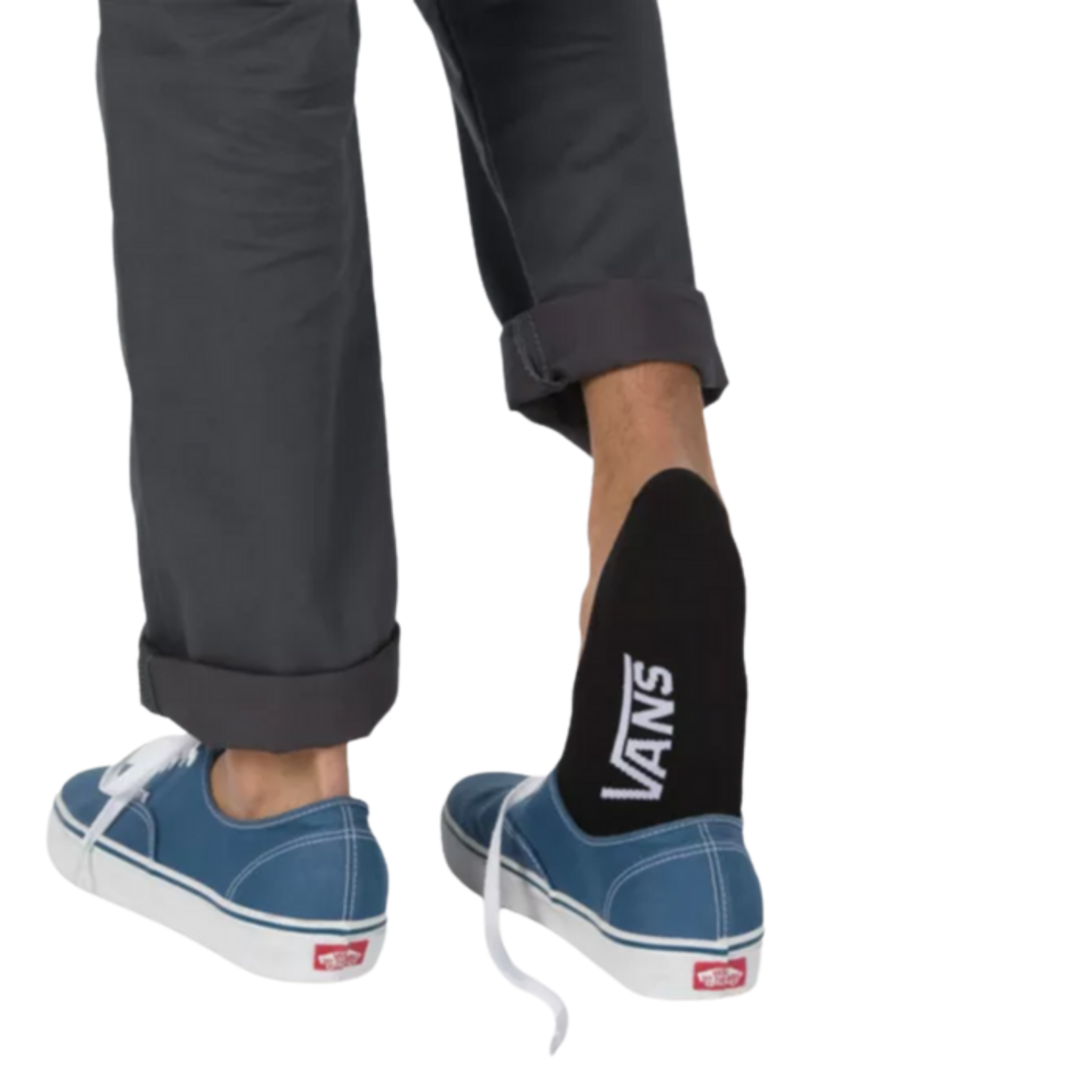 Mens vans socks no 2025 show