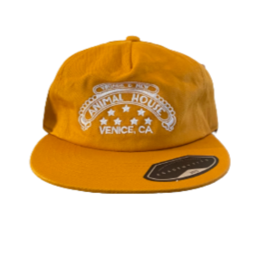 Animal House Painters Hat